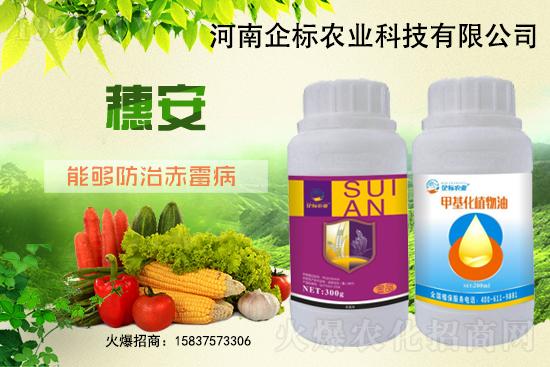 С����ù��Σ�����c(di��n)������С����ù����ʲôˎ��