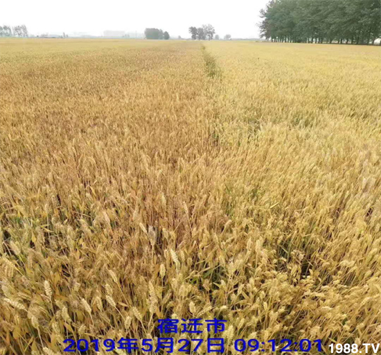 С����ù��Σ�����c(di��n)������С����ù����ʲôˎ��