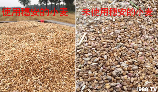 С����ù��Σ�����c(di��n)������С����ù����ʲôˎ��