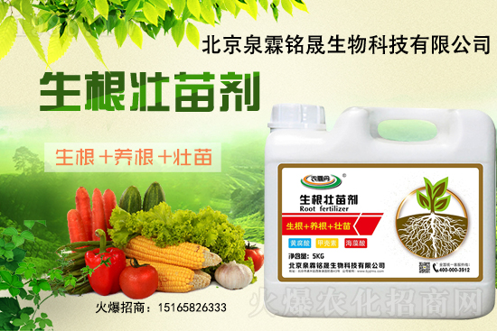 һ���y����2020-11-25�|�����ϝqѸ��