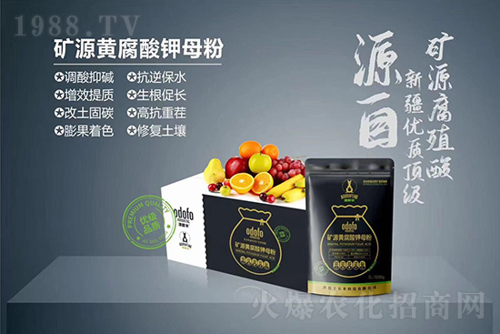 ʲô���߲��亦�����������￹��������