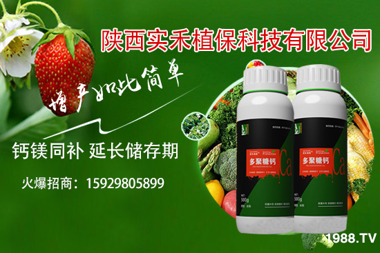 ���t�����~��ʲôԭ�������t�����~���δ�ʩ����Щ��