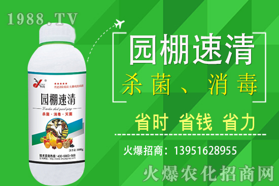 2020��11��5�վֲ������r������