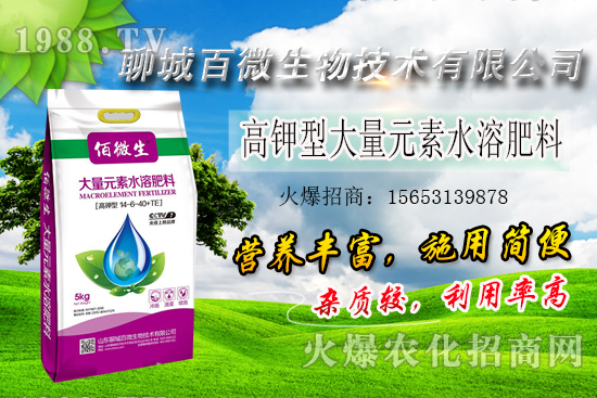 �׌�(du��)ֲ�����Ҫ������Щ���׷���ʲô������ԓ�����ã�