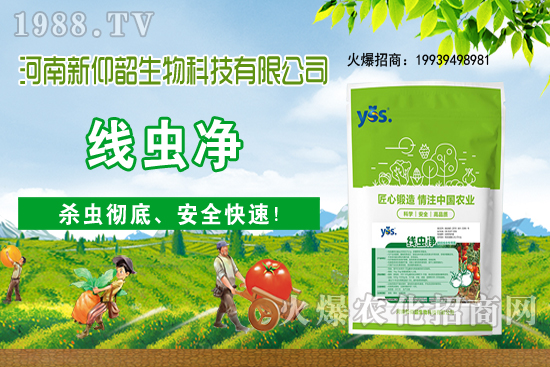 ����ֲ��ԓ��ô��ˮ������ֲ�ˮҪע����Щ���}����