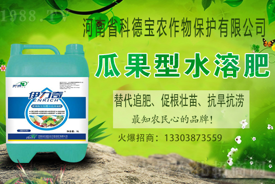 �����M��Ě��ʲô�r(sh��)�����������������x�M��Ě����