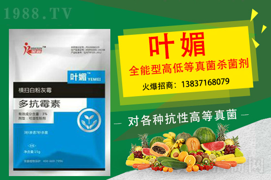 ����������(y��n)��̫�y�p������p�ɽ�Q��