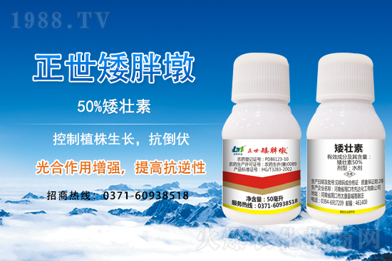 С����ǰ���L��ʲôΣ������ȡʲô��ʩ����Ч��ͽ�L��