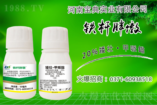 С����ǰ���L��ʲôΣ������ȡʲô��ʩ����Ч��ͽ�L��