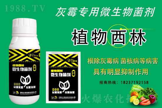 ��ù�������ε�ԭ������ô������Ч���ã�