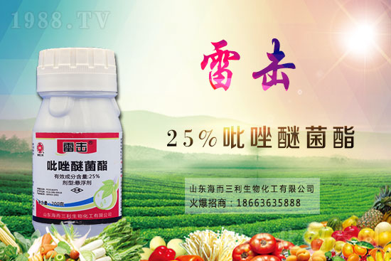 ħ��r������Xһ����2021��ħ��Nֲǰ����Σ�