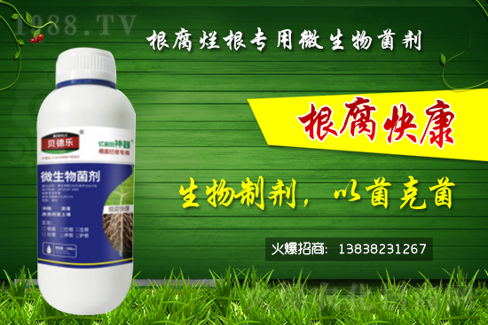 ΢������������θ������᣿��ô�x����