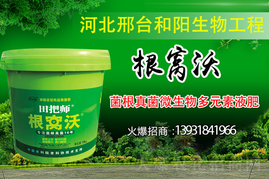 ��Щ��������������������ȡʲô��ʩ���Է�����