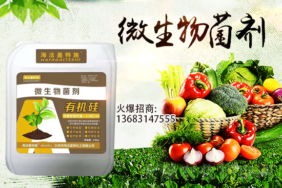 �������u��������m(x��)�͜�����������Ҫ�c(di��n)��