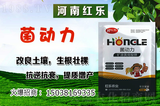 12�·��ܷNʲô�߲��������߲˷Nֲ����Щ������