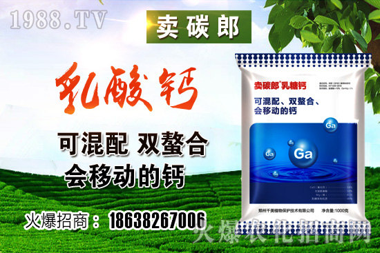 ���������^����С���r(ji��)�����w��λڅ��(w��n)��