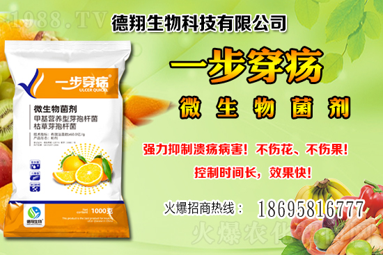 ���a(ch��n)�󶹃r��(w��n)���е���2020-12-21�����������ֵ؅^(q��)�����飡