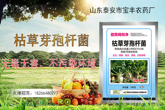 �ݲ�ѿ�ߗU���ܽ�Q������Щ���}���ݲ�ѿ�ߗU�����r(n��ng)�����ϵđ�(y��ng)����