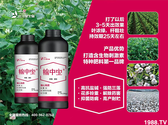 �طN�ʞ�ʲô�@ô������ʲô���c֮̎��