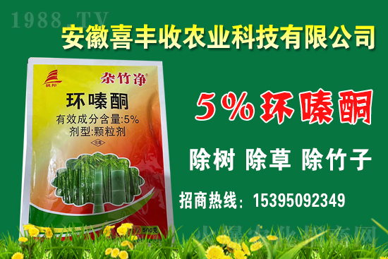 1    �h(hu��n)�ͪ�����ÙC(j��)������Щ��ԓ��Ώ�(f��)�䣿�h(hu��n)�ͪ�m�����Ｐ��(y��ng)�÷�����