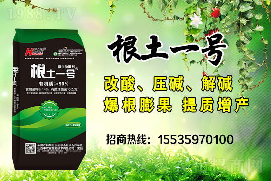     ΢��������е�΢������ʲô������΢�����������θ��������ģ�