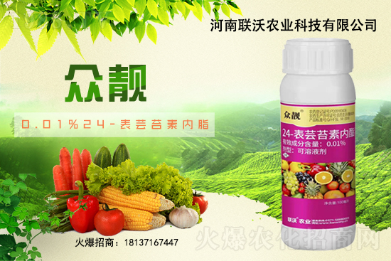 ��ݮ�������ɫ������ο��������������ɫ��