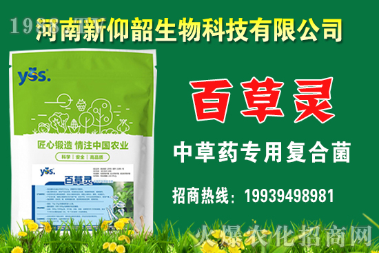 ����С���r��߀���q����2020��12��С���r��������Σ�