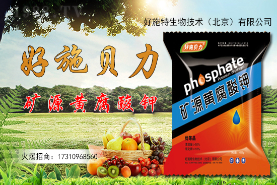 �󽪶����Xһ�����󽪷Nֲǰ������������Nֲ���g(sh��)��