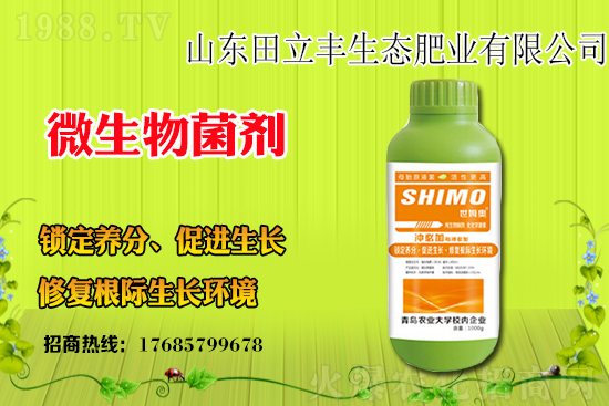 ���{��ԓ��ηNֲ�����{���Nֲǰ����Ч����ô����