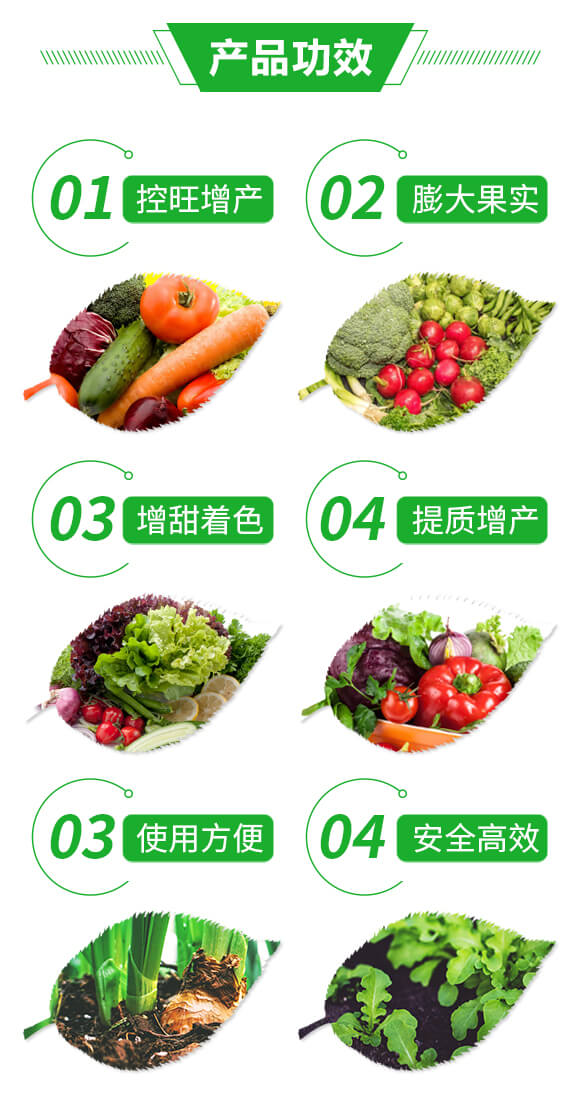 ֲ�￵���ܸ߶˻��Է���-�������-��Gֲ��_03