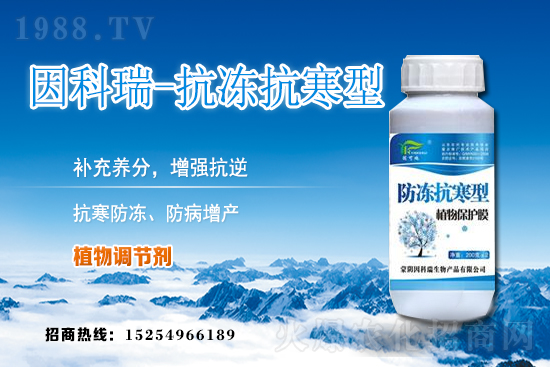 ���յ��ȃr������Xһ�2020��12��9�յ��ȃr������