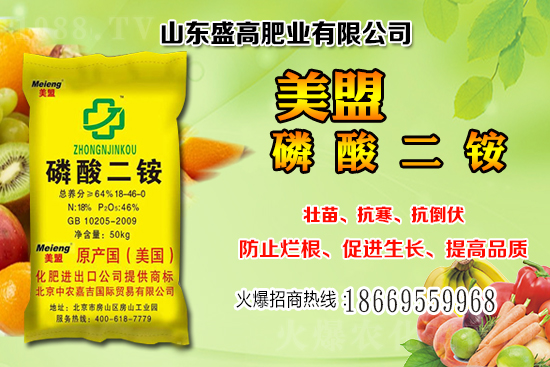 ����С���r(ji��)��߀��(hu��)�^�m(x��)�ϝq����12��С���r(ji��)���������