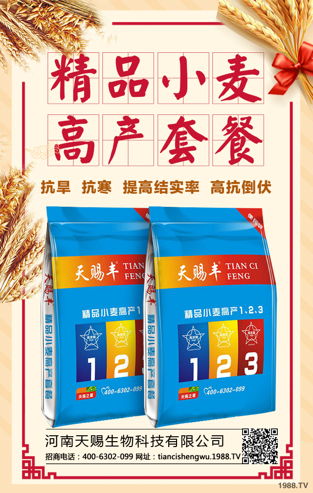 �������n����Ƽ����޹�˾