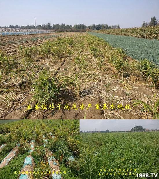     �l(f��)�������a(ch��n)Ʒ������أ�n������ʽ���ؠ����Ӳ����Ñ���������Ч����������