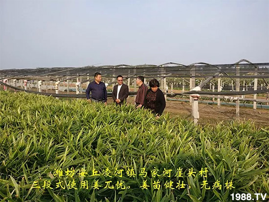     �l(f��)�������a(ch��n)Ʒ������أ�n������ʽ���ؠ����Ӳ����Ñ���������Ч����������