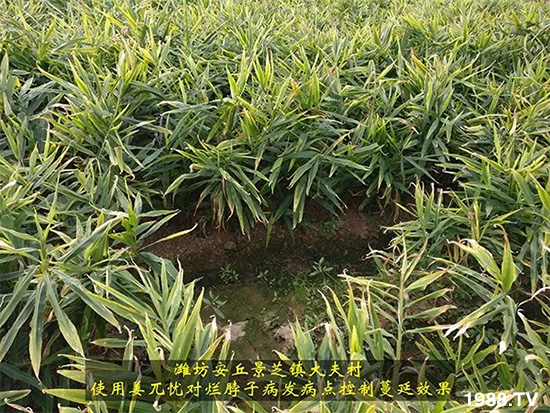     �l(f��)�������a(ch��n)Ʒ������أ�n������ʽ���ؠ����Ӳ����Ñ���������Ч����������