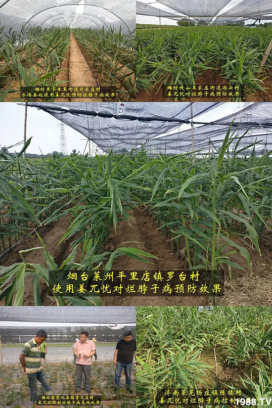     �l(f��)�������a(ch��n)Ʒ������أ�n������ʽ���ؠ����Ӳ����Ñ���������Ч����������