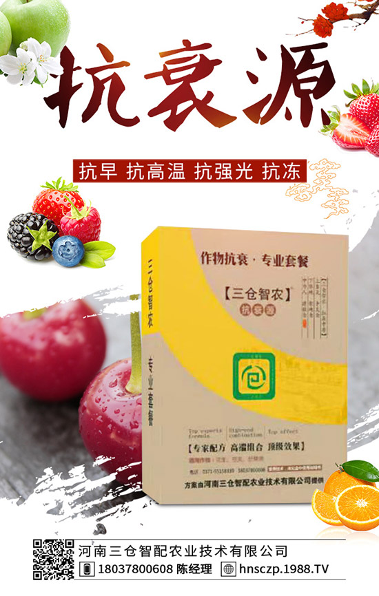 ���·��m�ϷNֲʲô�߲ˣ����·��߲˷Nֲע�����(xi��ng)��