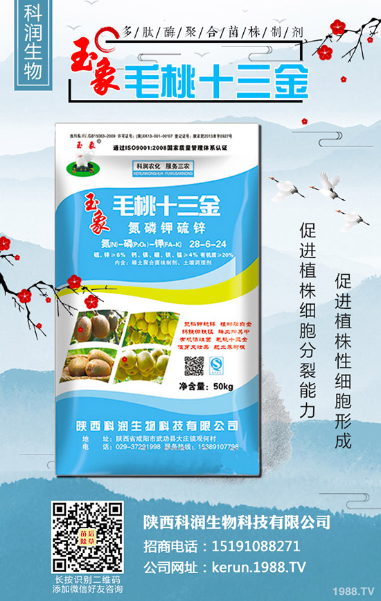     ���裺�����B�m(x��)�q�r���L(f��ng)�U�����2020-3-13��������r��