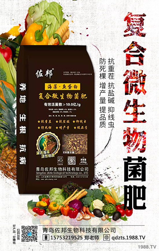 ɽ���m��ʲô�r(sh��)��Nֲ��ɽ��ֳ��������Щ��