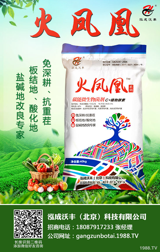 ��Ҋ�������ɺ��x����Щ���������ɺ��x���������