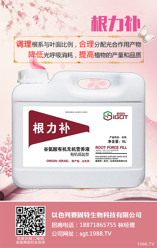 С��������Ҋ�Ĳ�������Щ��ԓ��η���������С���������η�����B