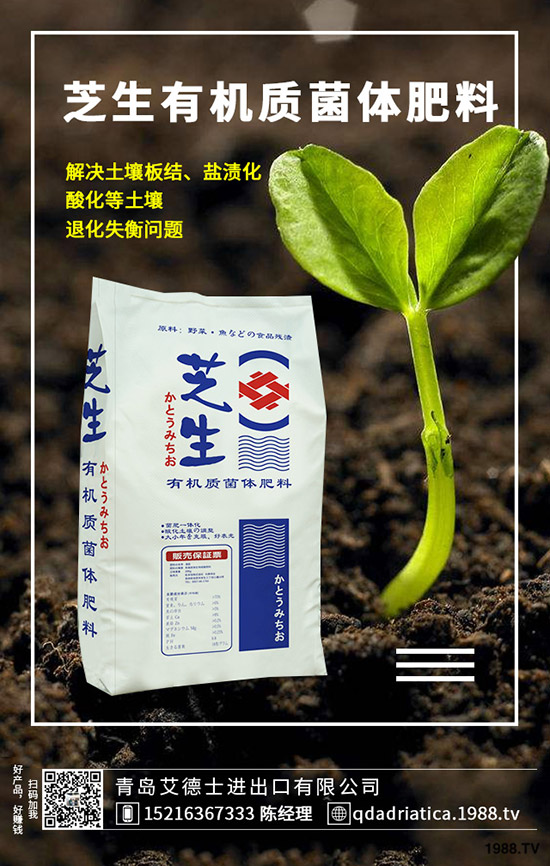 ��������ô��Ч�������������ص�ʹ�÷�����