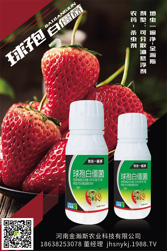 ���x��ԭˎ�r(ji��)��