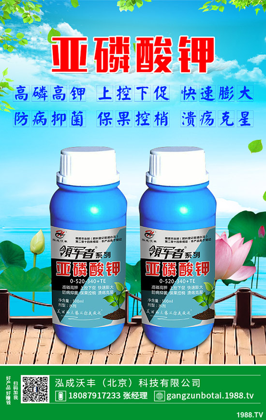 �ЙC�߲��c�o�����߲˵ą^(q��)�e���o�����߲���η��x��