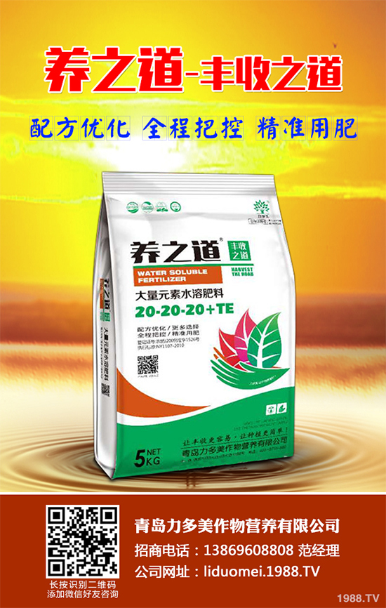 ���{��ԓ��ηNֲ�����{���߮a(ch��n)�Nֲ���gҪ�c