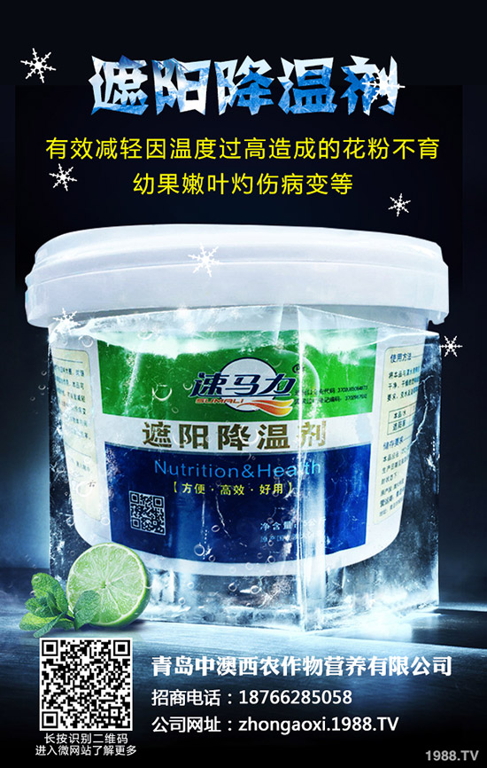 ��Ʒ�|(zh��)��Ҭ����ôʩ�����������@���c��