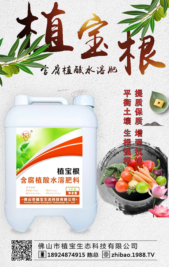 �紺���������Jʲô�r(sh��)�g�N�������J��ֲ�����Ҫ�c(di��n)��