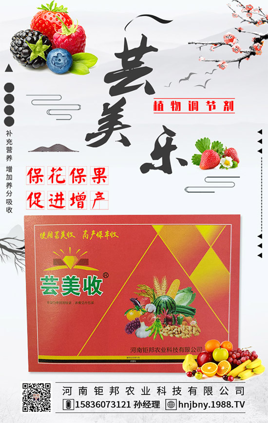 �����׽�����ʲôΣ���������׽����ķ��δ�ʩ��