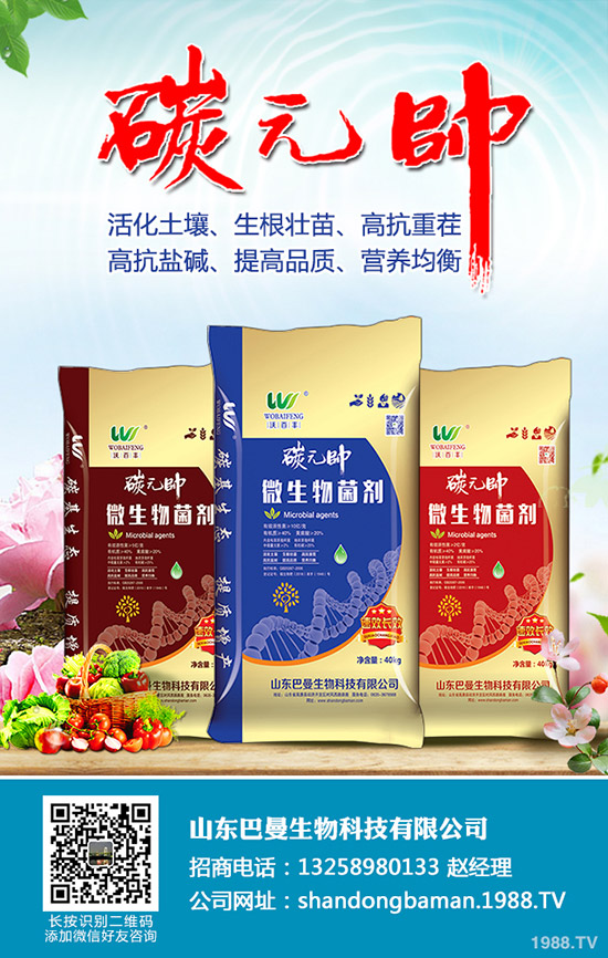     ⛷ʃr(ji��)�����л�����2020��3��28�ս�������⛷����������